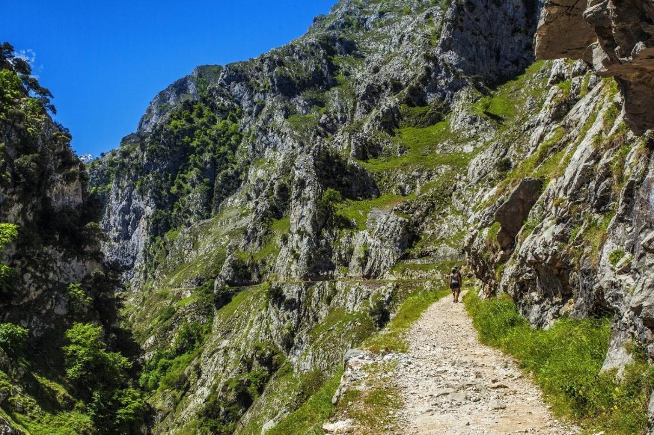 El Mirador De Meron 산비센테데라바케라 외부 사진